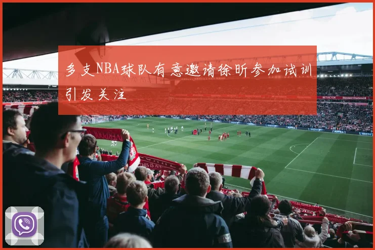 多支NBA球队有意邀请徐昕参加试训引发关注