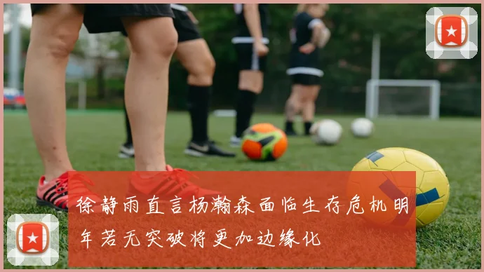 徐静雨直言杨瀚森面临生存危机明年若无突破将更加边缘化